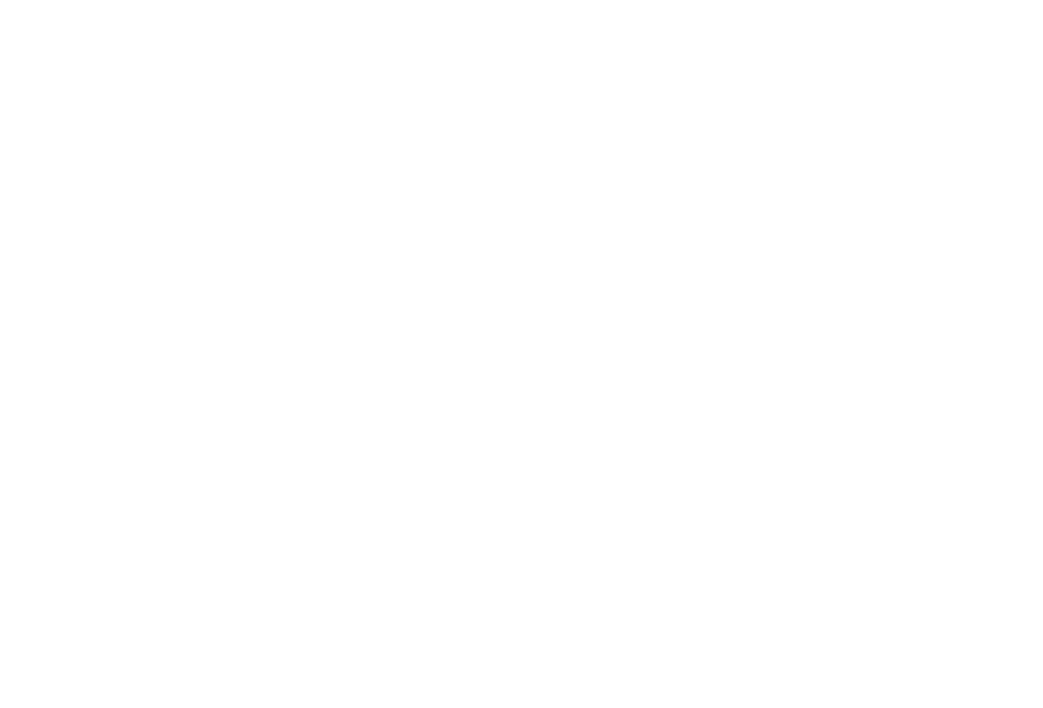 logo light